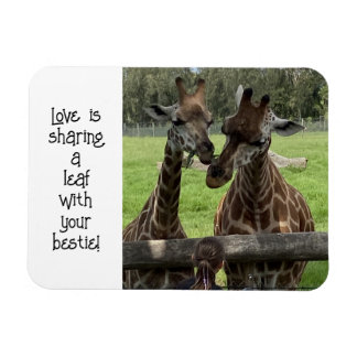 Giraffe Liebe... Magnet