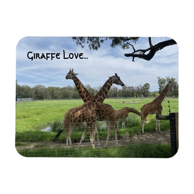 Giraffe Liebe...Magnet Magnet (Horizontal)