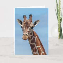 Giraffe Looking Right At Karte