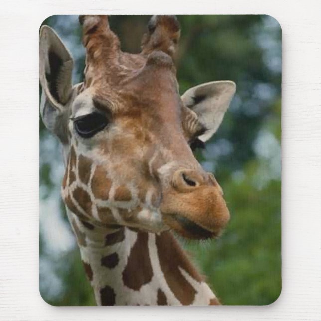 Giraffe Lovers Kunstgeschenke Mousepad (Vorne)