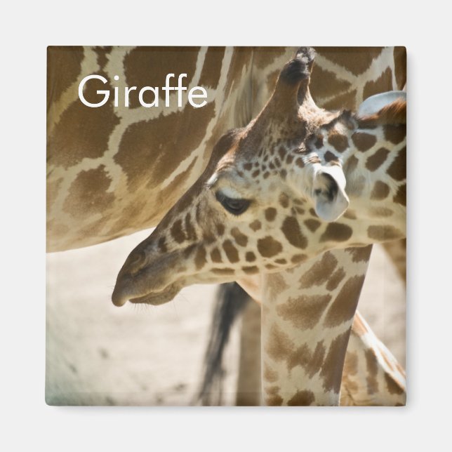 Giraffe ・ Magnet (Vorne)