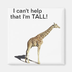 Giraffe Magnet