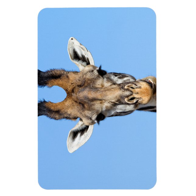 Giraffe Magnet (Vertikal)