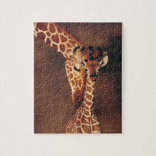 Giraffe mit Kalb (Giraffa camelopardalis)