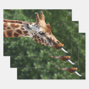 Giraffe mit Zungenauslauf Geschenkpapier Set