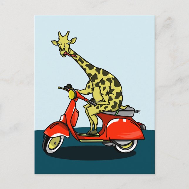 Giraffe, Motorrad fahren Postkarte (Vorderseite)