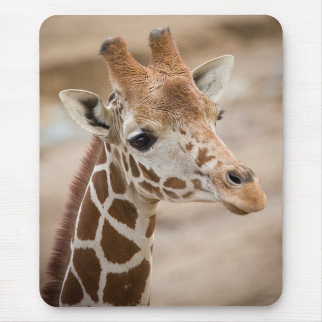 Giraffe Mousepad (Vorne)