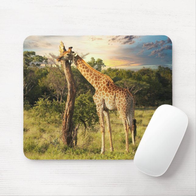 Giraffe Mousepad (Mit Mouse)