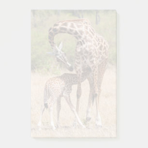 Giraffe Mutter und Baby in Kenia Post-it Klebezettel