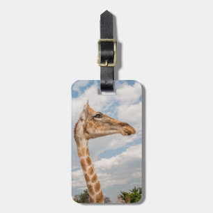 Giraffe Nah Gepäckanhänger