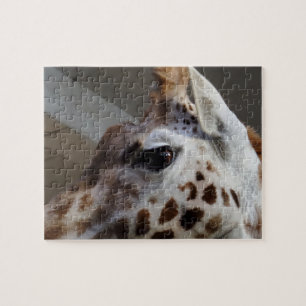 Giraffe OEil Jigsaw Puzzle