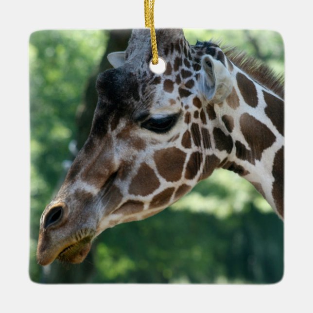 Giraffe Ornament (Vorderseite)