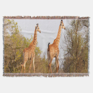 Giraffe Pair Decke