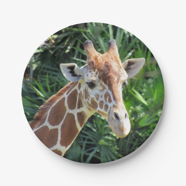 Giraffe-Papierplatte Pappteller (Vorderseite)
