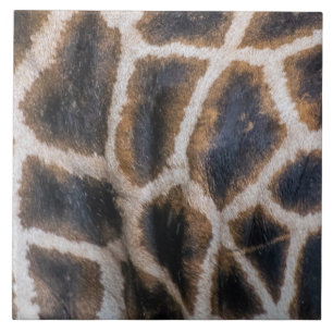 Giraffe peau motif vers le haut carreaux céramique