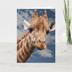 GIRAFFE PHOTOGRAPHIE CARTE D'ANNIVERSAIRE
