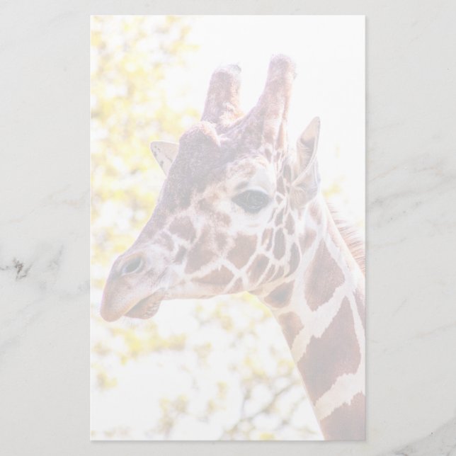 Giraffe Portrait Briefpapier (Vorderseite)