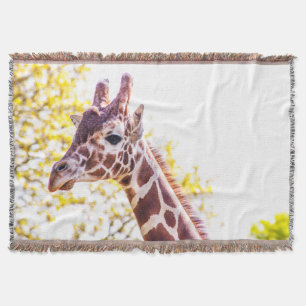 Giraffe Portrait Decke