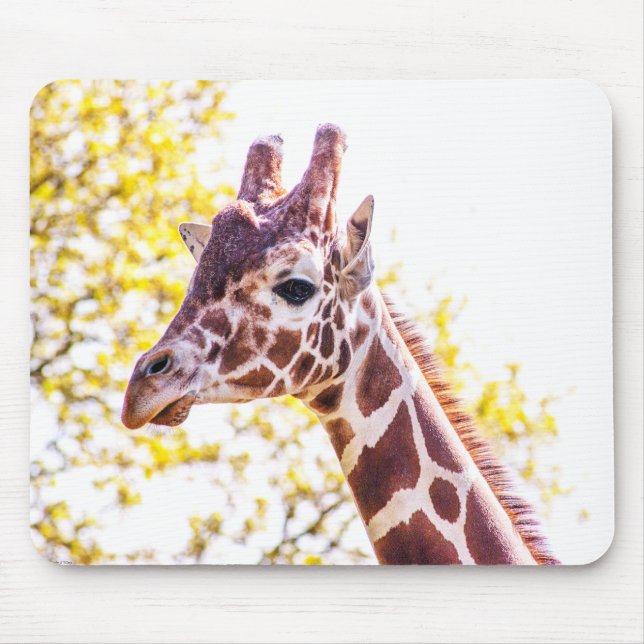 Giraffe Portrait Mousepad (Vorne)