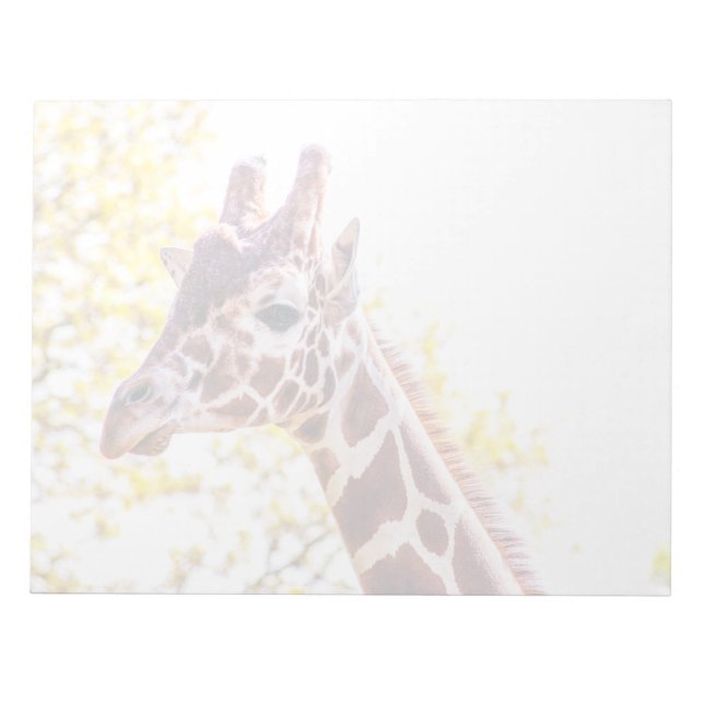 Giraffe Portrait Notizblock (Vorderseite)