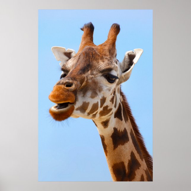 Giraffe-Portrait-Poster Poster (Vorne)