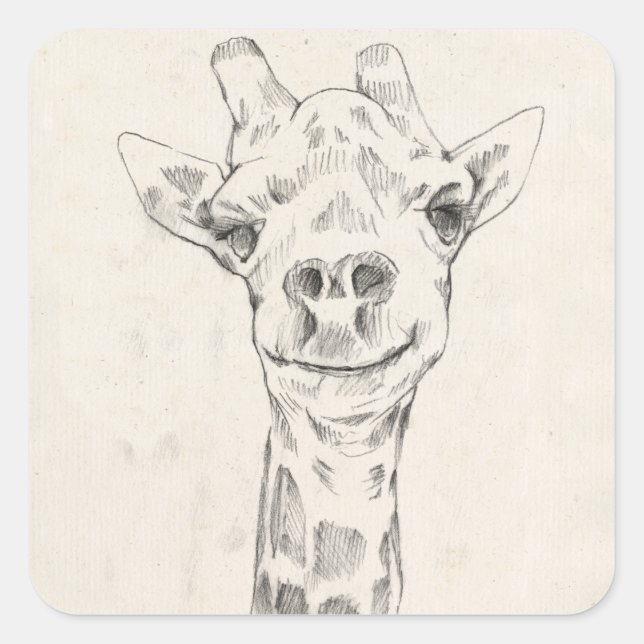 Giraffe Portrait Sketch Quadratischer Aufkleber (Vorderseite)