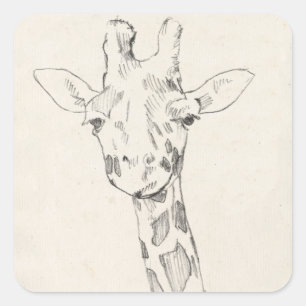 Giraffe Portrait Zeichnung Quadratischer Aufkleber