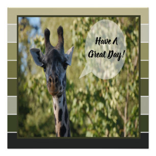 Giraffe Poster