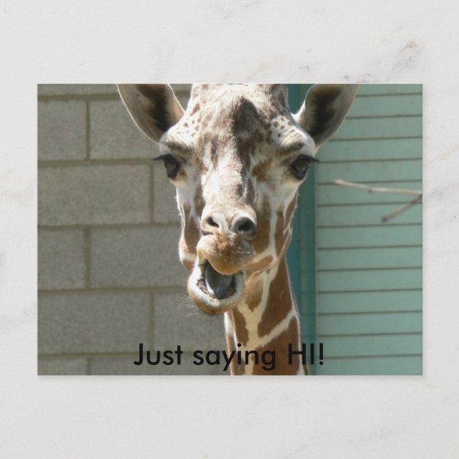 Giraffe Postkarte (Vorderseite)