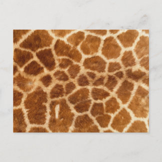 Giraffe Print Postkarte