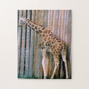 Giraffe-Puzzle