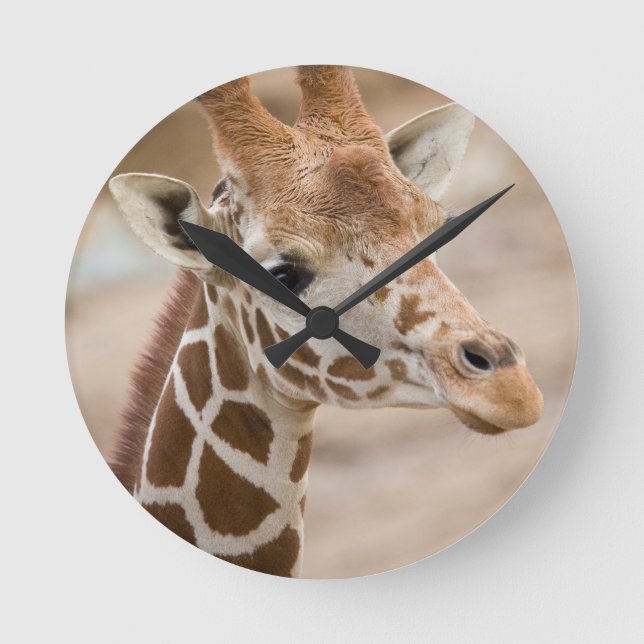 Giraffe Runde Wanduhr (Vorderseite)