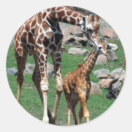 Giraffe Runder Aufkleber