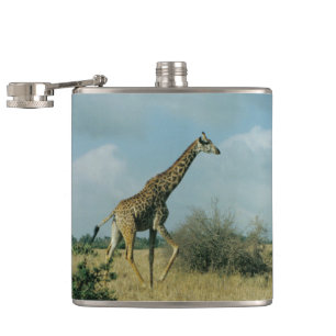 Giraffe Running Flachmann