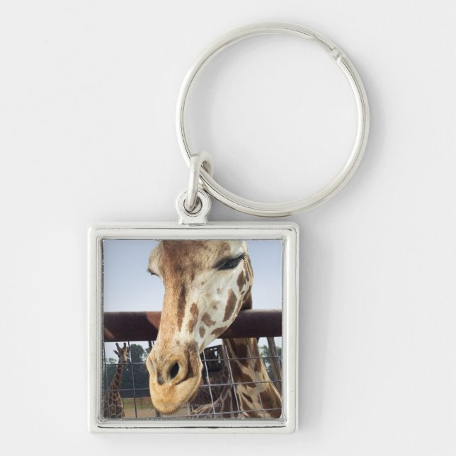 Giraffe Schlüsselanhänger (Vorne)