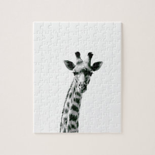 Giraffe Schwarzweiss