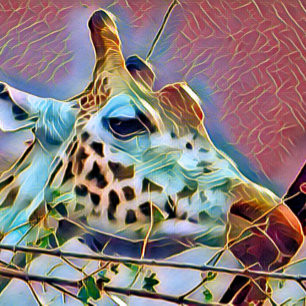 GIRAFFE SEIDENPAPIER