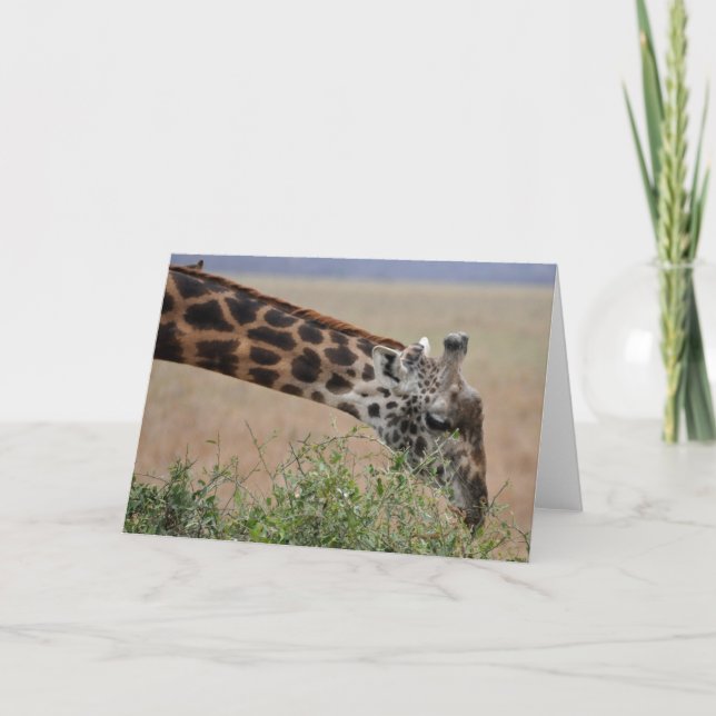 Giraffe, Serengeti Karte (Vorderseite)