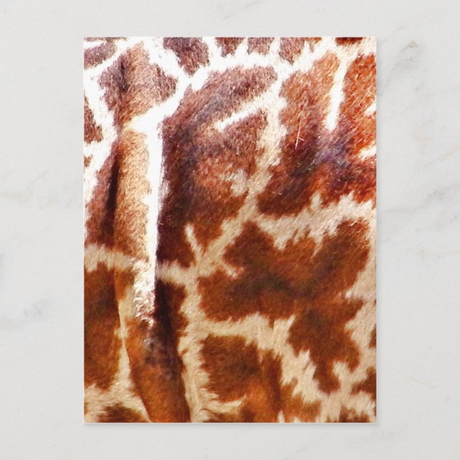 Giraffe Skin_ Postkarte (Vorderseite)