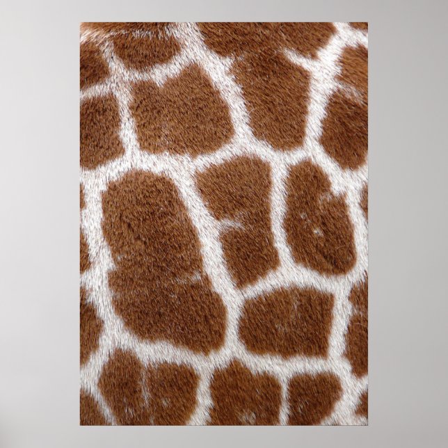 Giraffe Spots Poster (Vorne)
