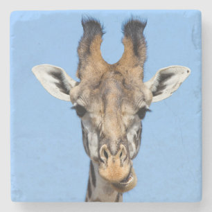 Giraffe Steinuntersetzer