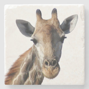 Giraffe-Stone-Untersetzer Steinuntersetzer
