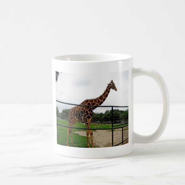 Giraffe Tierfotografie Kaffeetasse (Rechts)