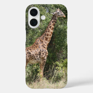 Giraffe title_seo2