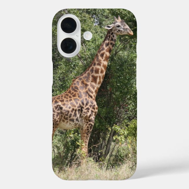 Giraffe title_seo2 (Rückseite)