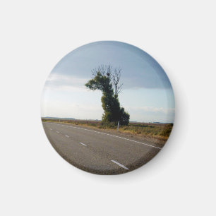 Giraffe Tree From South Australia, Magnet