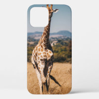 GIRAFFE UMGEBEN VON BRAUNEM GRAS