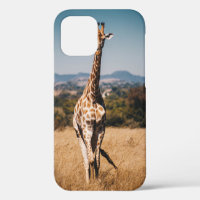 GIRAFFE UMGEBEN VON BRAUNEM GRAS
