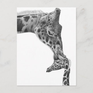 Giraffe und Kalb Postkarte