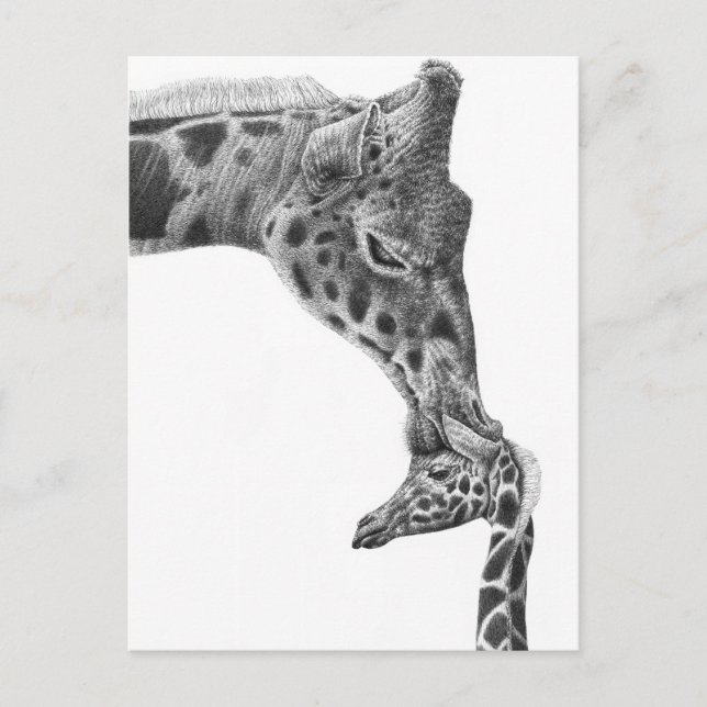 Giraffe und Kalb Postkarte (Vorderseite)